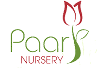 Paarl Nursery @ The Wild Emporium Logo